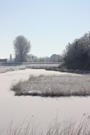 Mooie natuurwandeling in Oudkarspel georganiseerd door Groen Links Langedijk