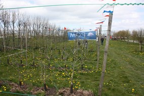 Fruittuin Geestmerambacht