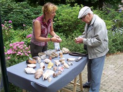 Uitverkoop van overtollig depotmateriaal bij Natuurmuseum Westflinge