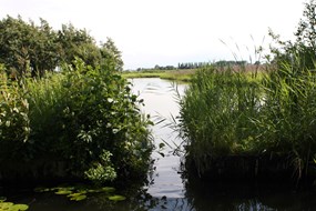 Opening thematisch wandelpad Oosterdelgebied