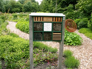 Bijenweekend Hortus Alkmaar (foto Hortus Alkmaar)