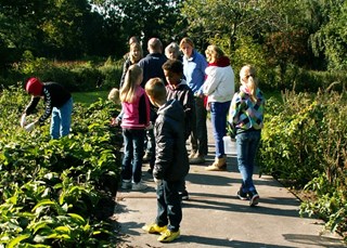 Leuke herfstvakantieuitjes op www.natuurgidsalkmaar.nl (foto natuurgidsalkmaar)