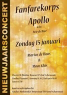 Nieuwjaarsconcert 15 januari 2017